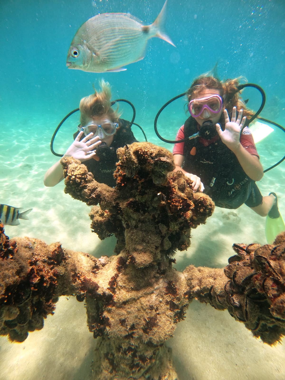 Buceo entre corales en Búzios