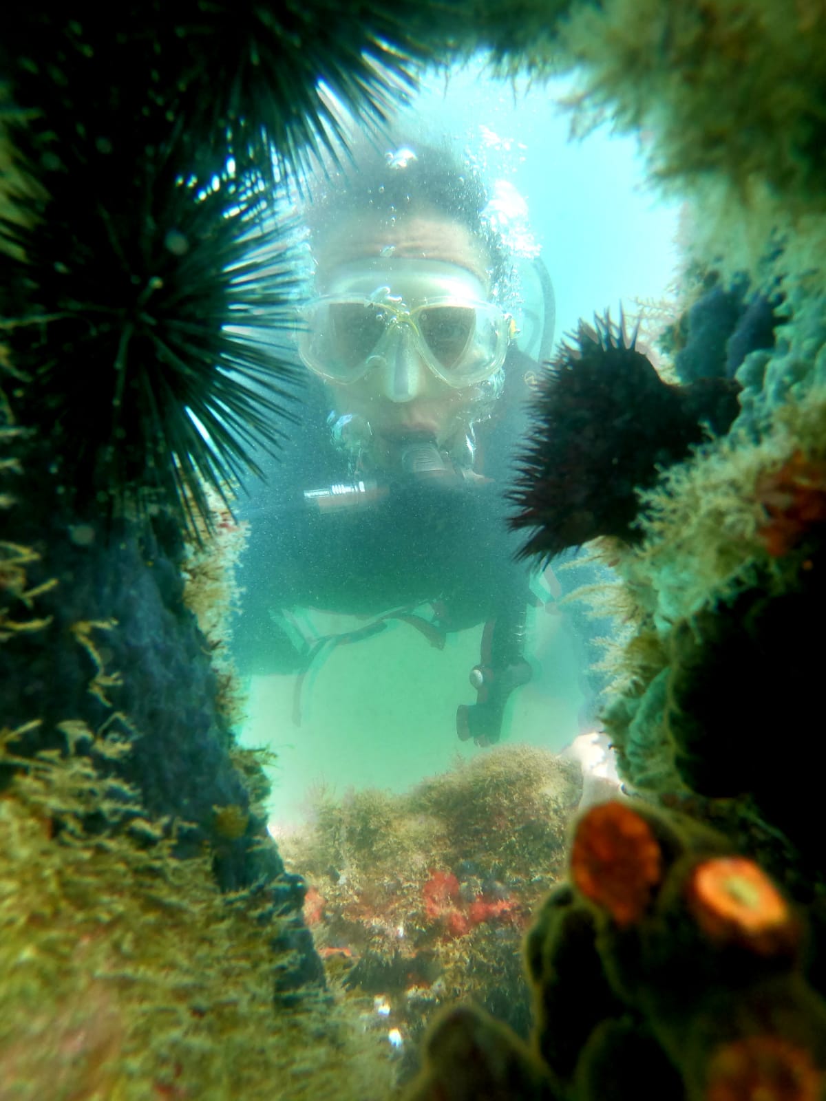 Buceo en las Estátuas Submersas